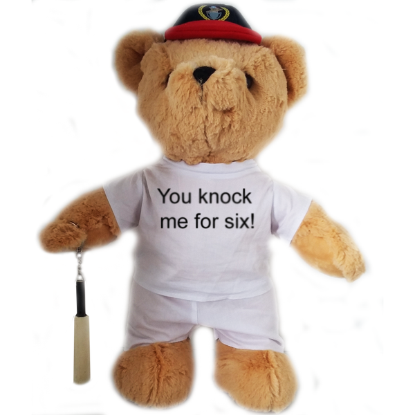 'You Knock Me For Six' Cricket Bear